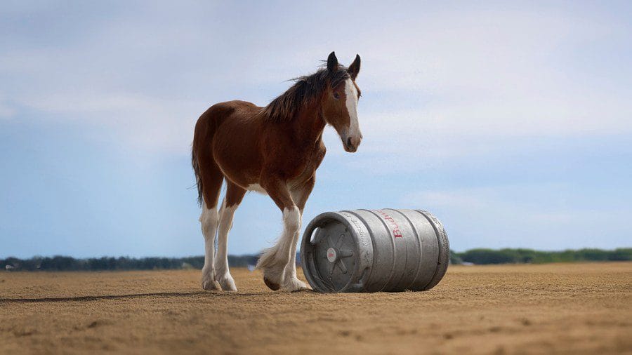Record-Breaking Ad Bids Ignite Tension in the Super Bowl Showdown!